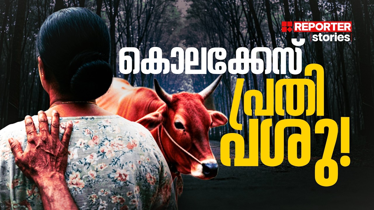 സത്യം ഒളിച്ചിരുന്ന പോസ്റ്റുമോര്‍ട്ടം റിപ്പോര്‍ട്ട്, ഏക സാക്ഷിയായി ആ പശു | Reporter Stories | Rosily