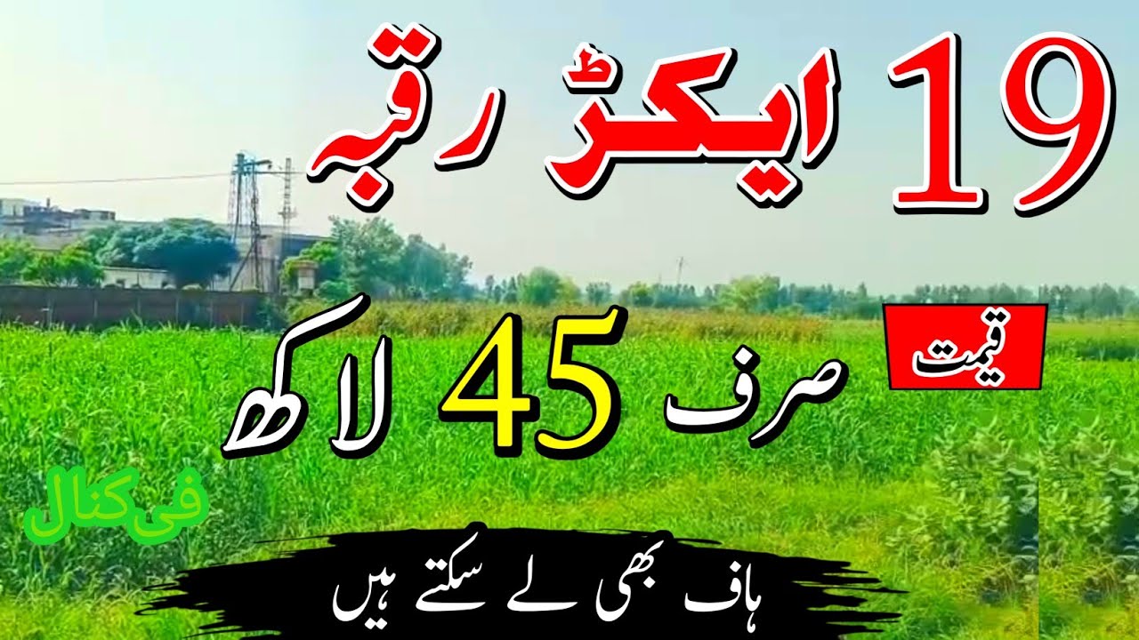 19 Acres Zameen purchase | Land for sale in PunjabPakistan | Episode 151