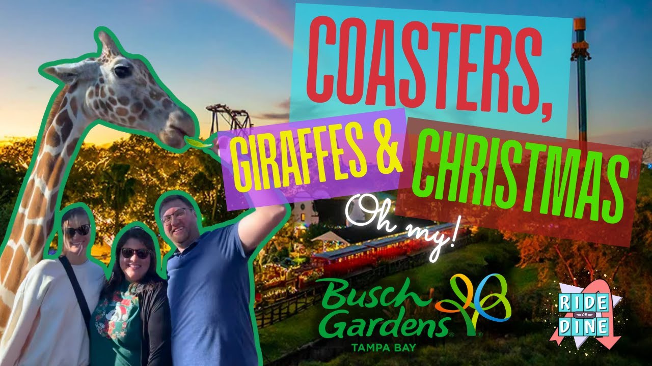 Busch Gardens Vlog with On-Ride POVs, Giraffe Encounter Tour, and Christmas Event