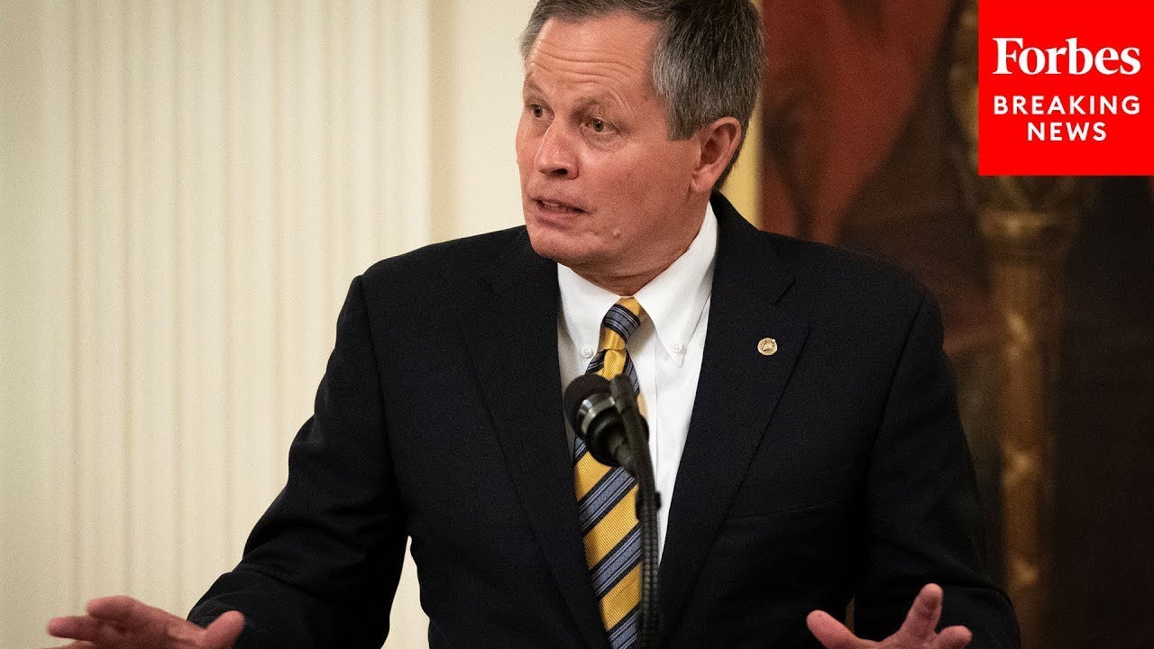 'How Much Time Did You Spend In China...?' Steve Daines Questions Witness On Experience In China