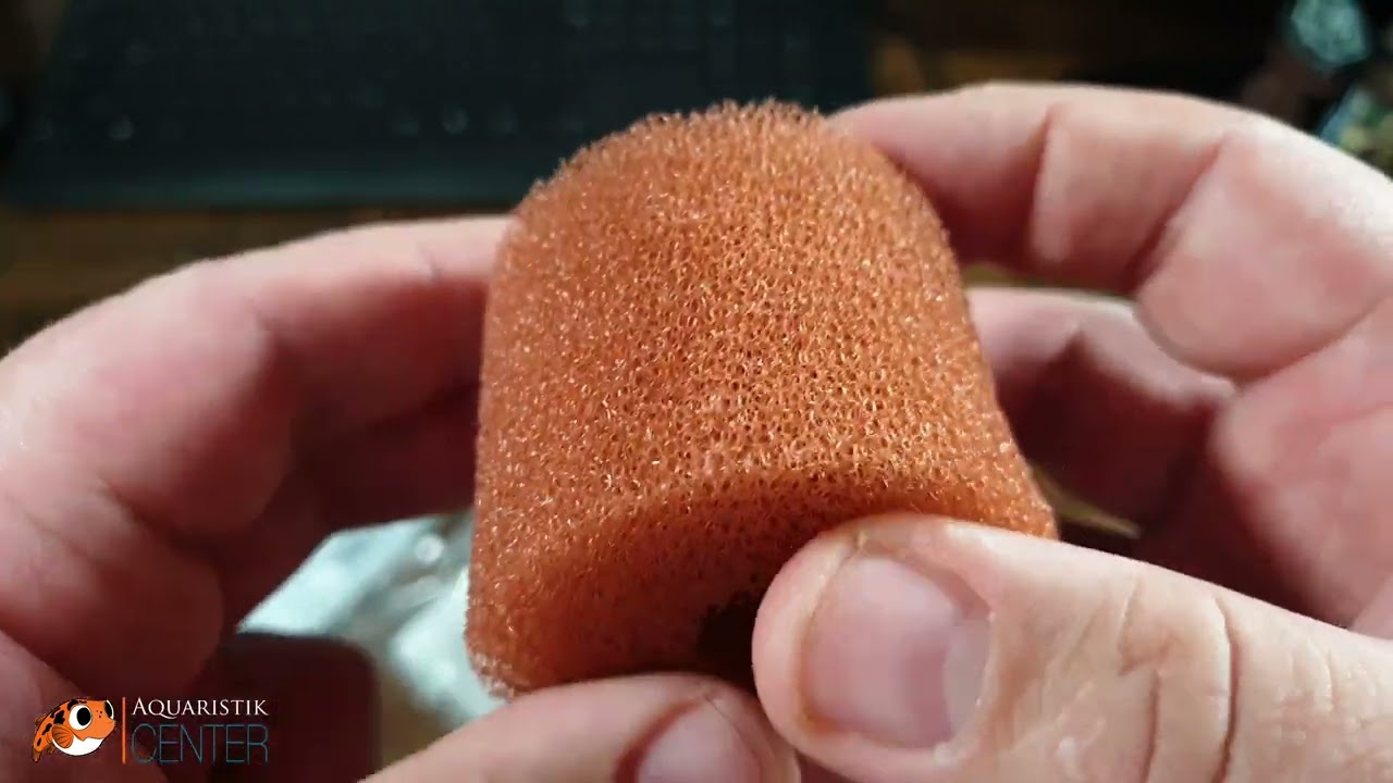 Oase - Vorfilterschaum für BioMaster Vorfilterschwamm rot 30ppi Garnelen-Guemmer / Aquaristik Center
