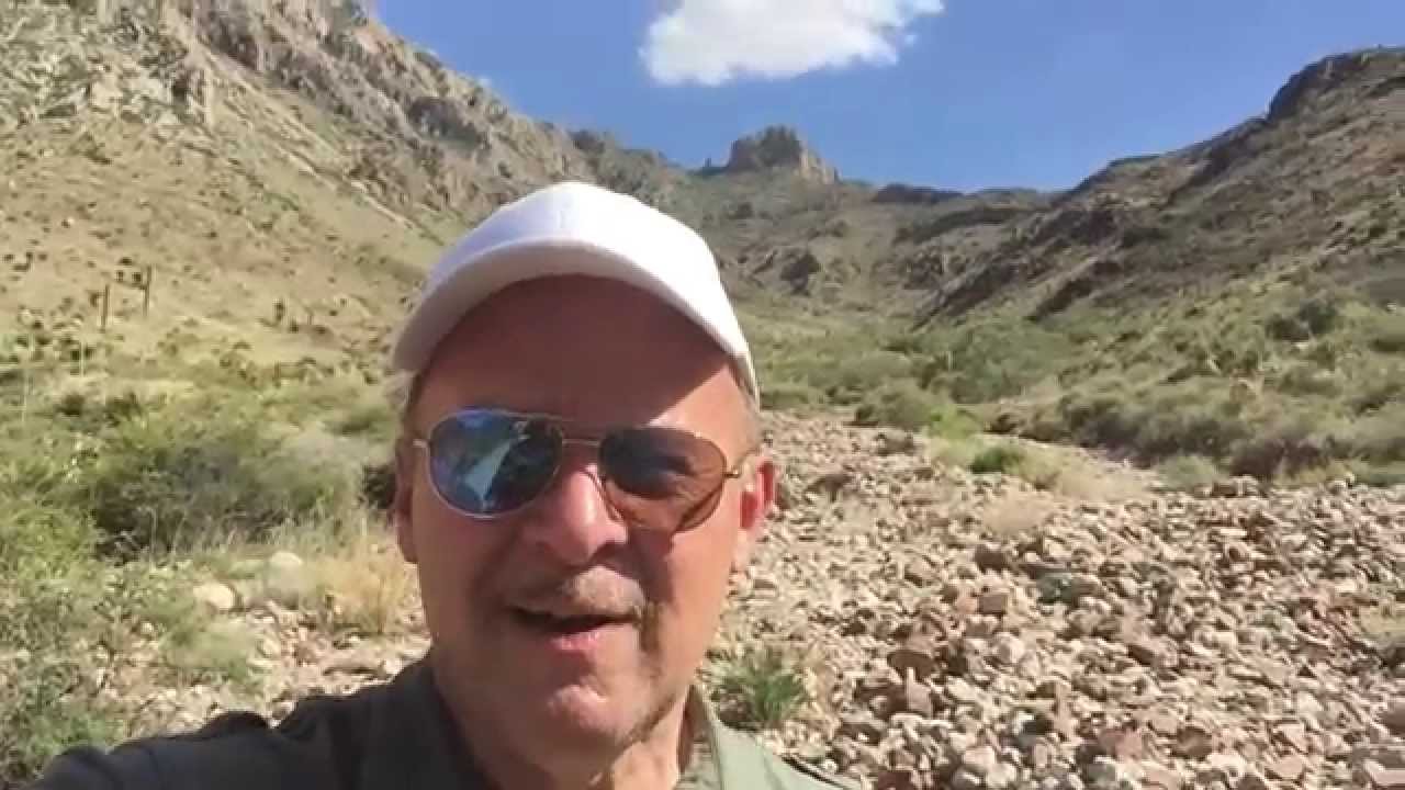 Plants of the Chihuahuan Desert