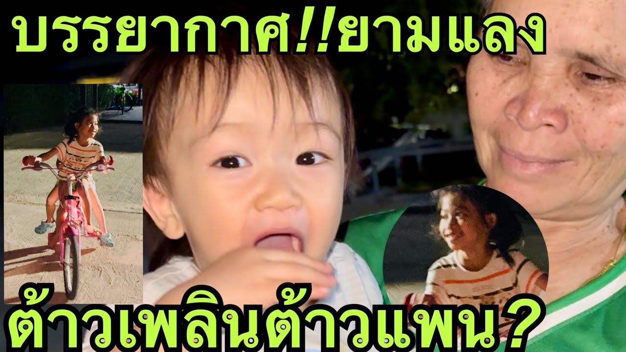 บรรยากาศยามแลง💥ต้าวเพลินต้าวแพน❤️#สาวน้อยลำเพลินshow 