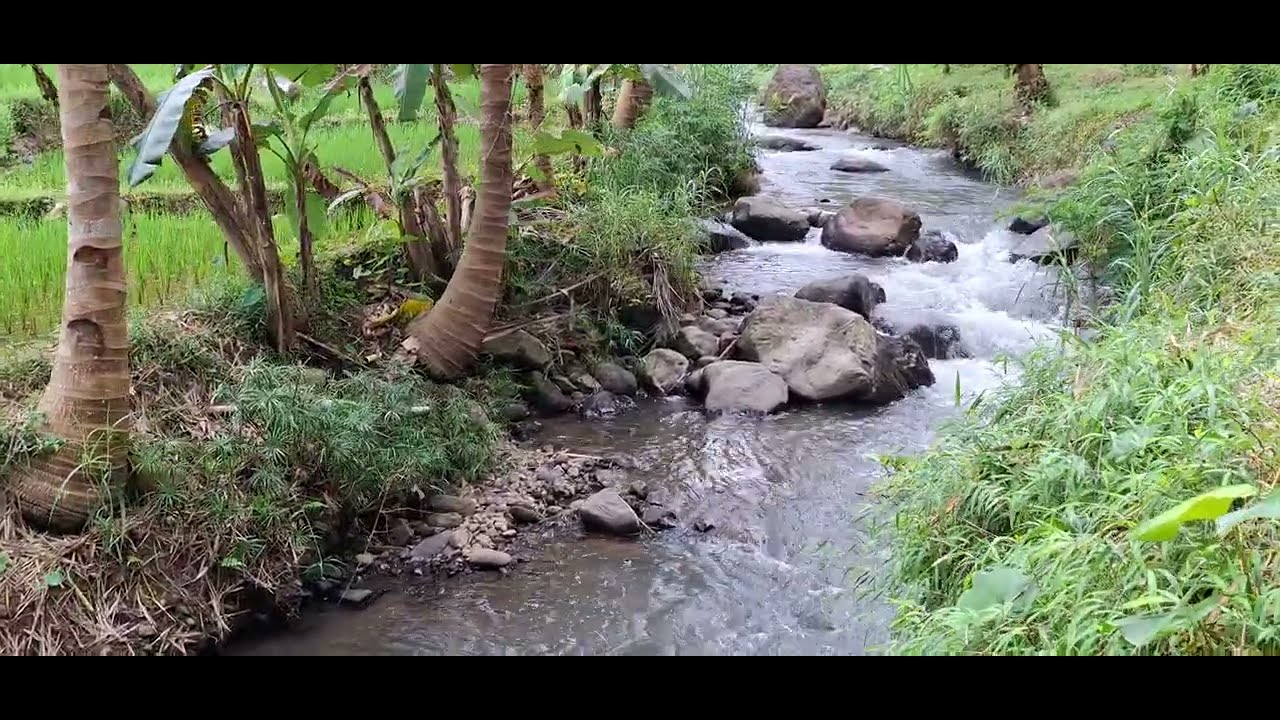 suasana dikaki bukit 💙💚🩵( relaxation )