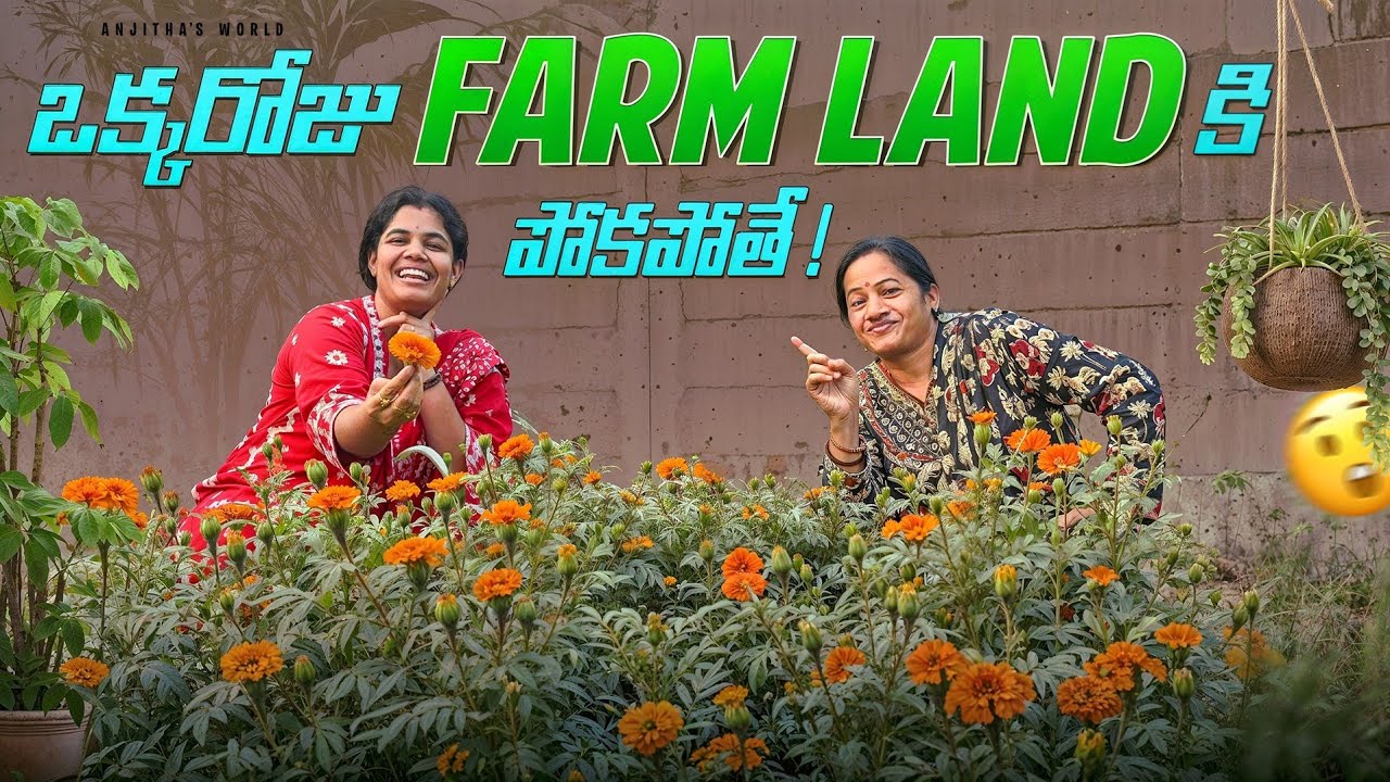 ల్యాండ్ ని చాలా మిస్ అయ్యాము😊 #farmland  #vegetables #farming #fruits #youtube