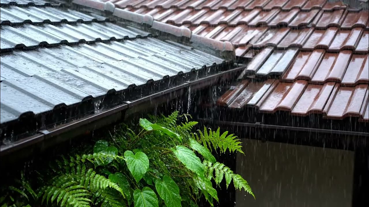 Calm Rain Sounds ASMR | Peaceful Rain for Sleeping
