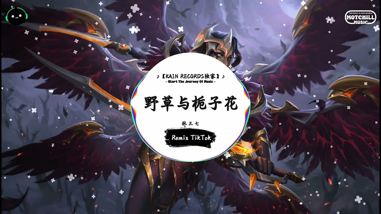 野草与栀子花 (抖音DJ版) - 林三七『晚风渐渐把我们吹散，身边少了你真不习惯。』♪ || 抖音最热门的背景音乐 | 抖音 Douyin | TikTok ♪