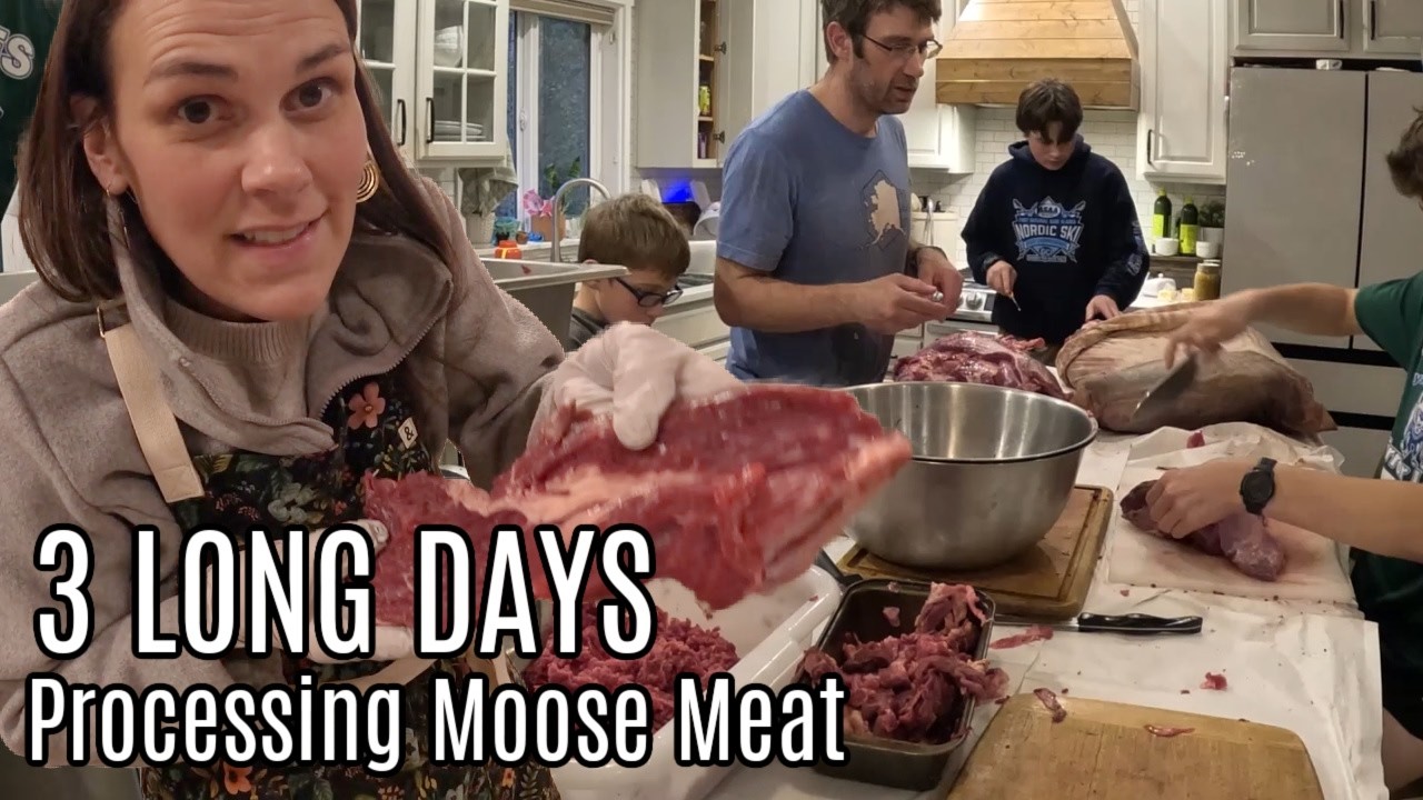 FREEZERS are FULL!! Moose Meat Processing w/ the Family
