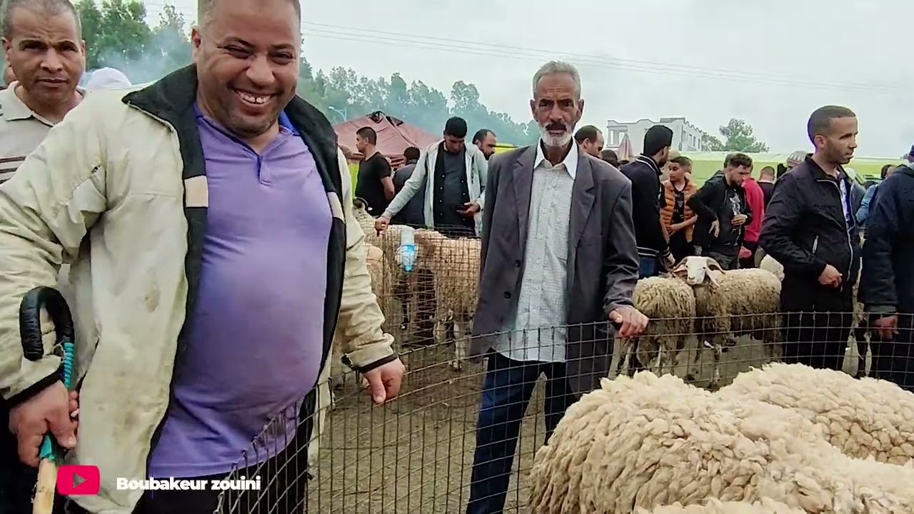 🔴 الجزء الثاني من سوق المواشي برحال، المواطن قال نار و احتدم الحوار