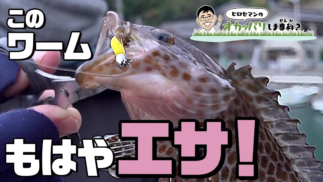 【ヒロセマンTV】釣れる真冬のライトゲーム始めませか？