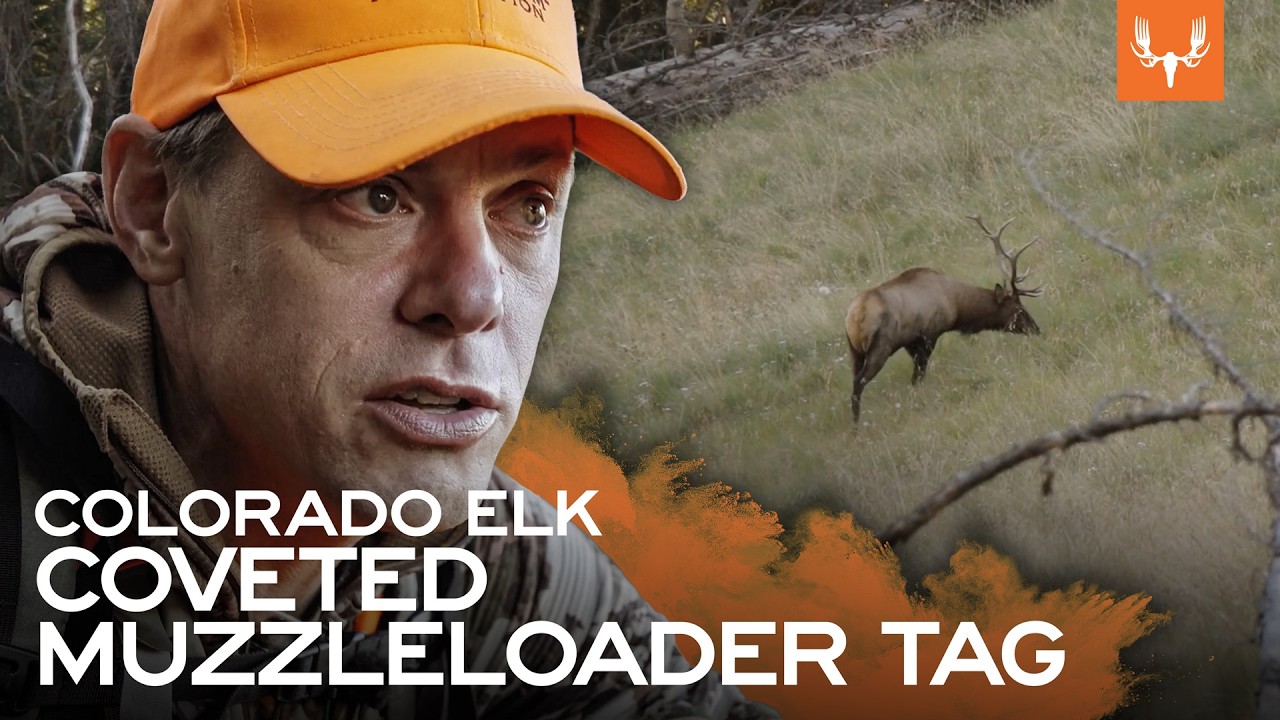 MeatEater: Сезон 9 | Эп. 1 Охота на вапити в Колорадо