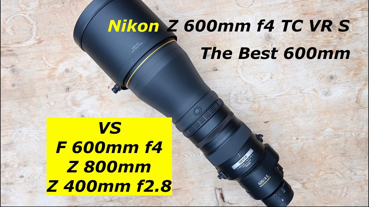 Nikon Z 600mm F4 TC. Первый взгляд. Автор: Мортен Хильмер. & Примеры изображений.