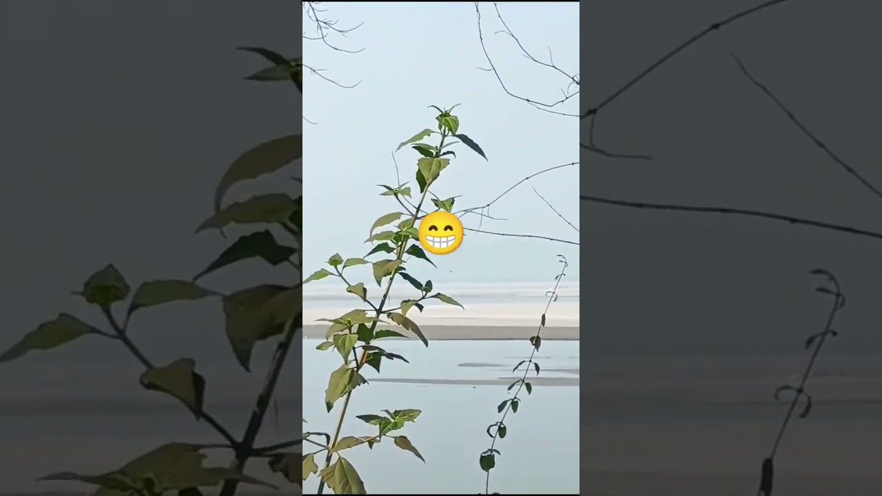 River view points of Assam 