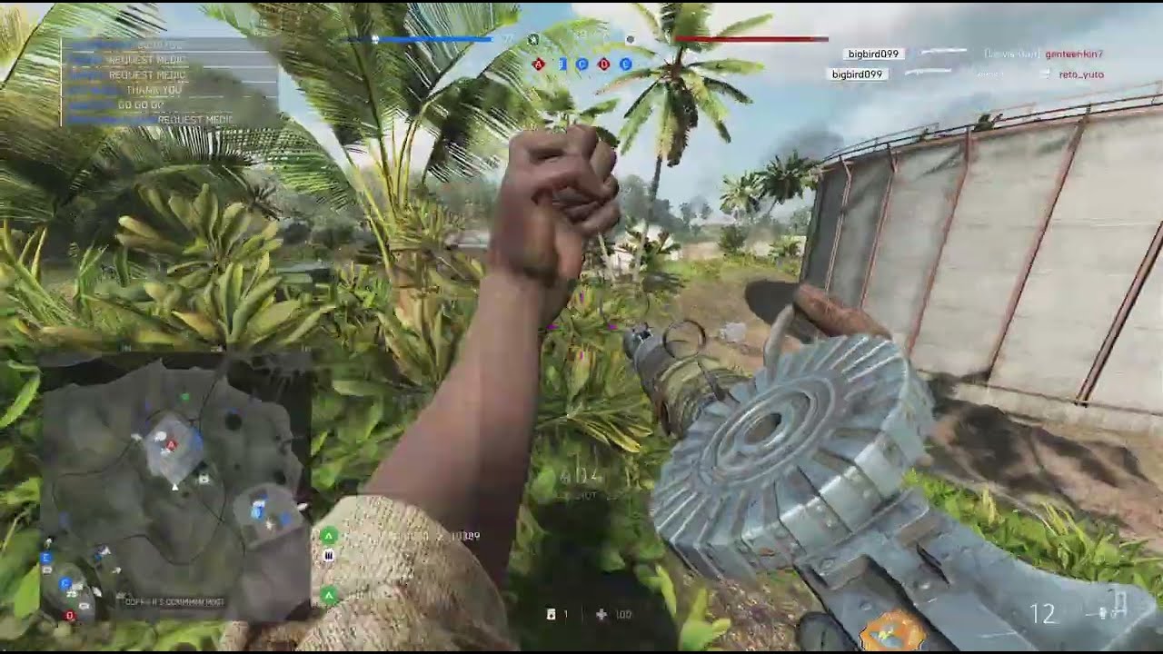 45/8 using the Lewis gun on Solomon islands.