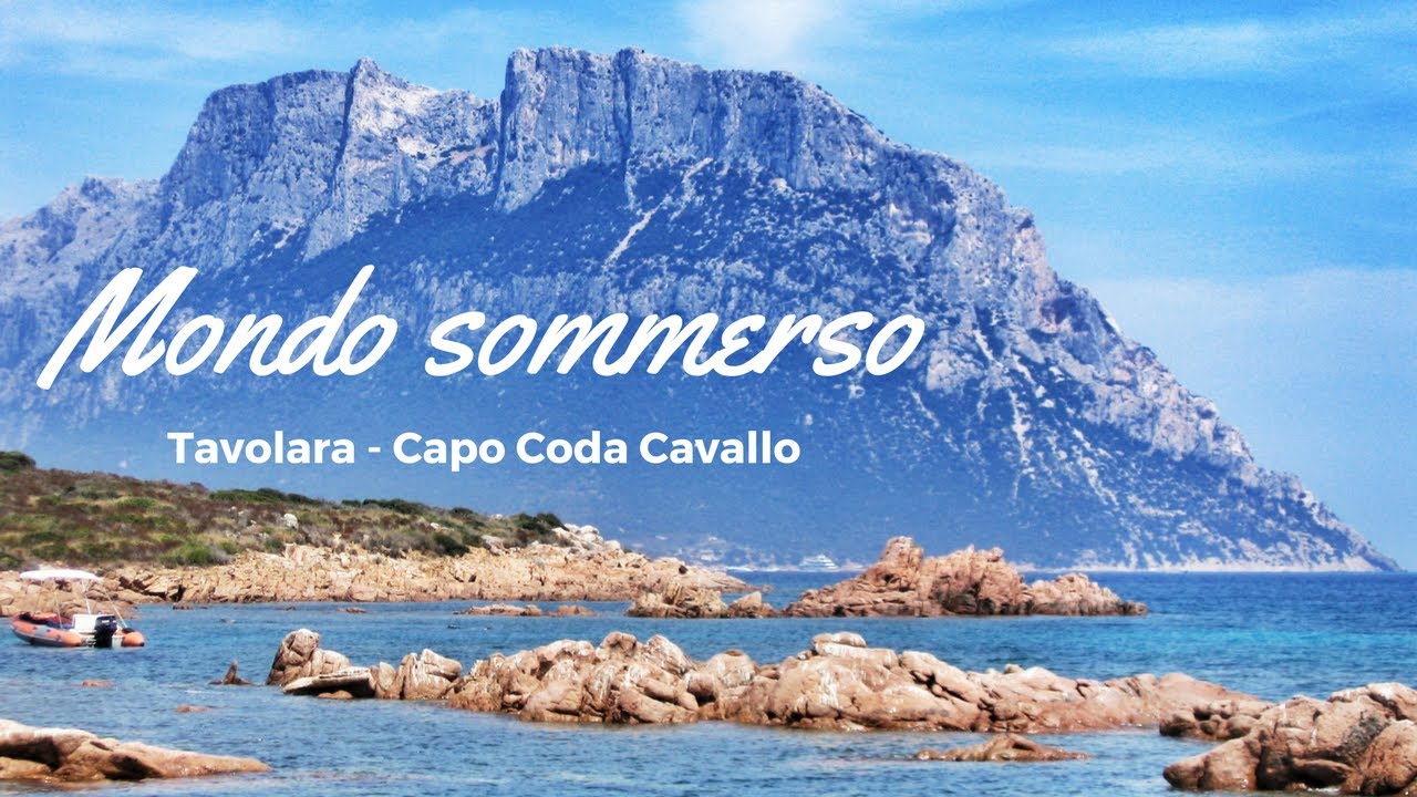 Mondo sommerso: parco marino Tavolara - Capo Coda Cavallo