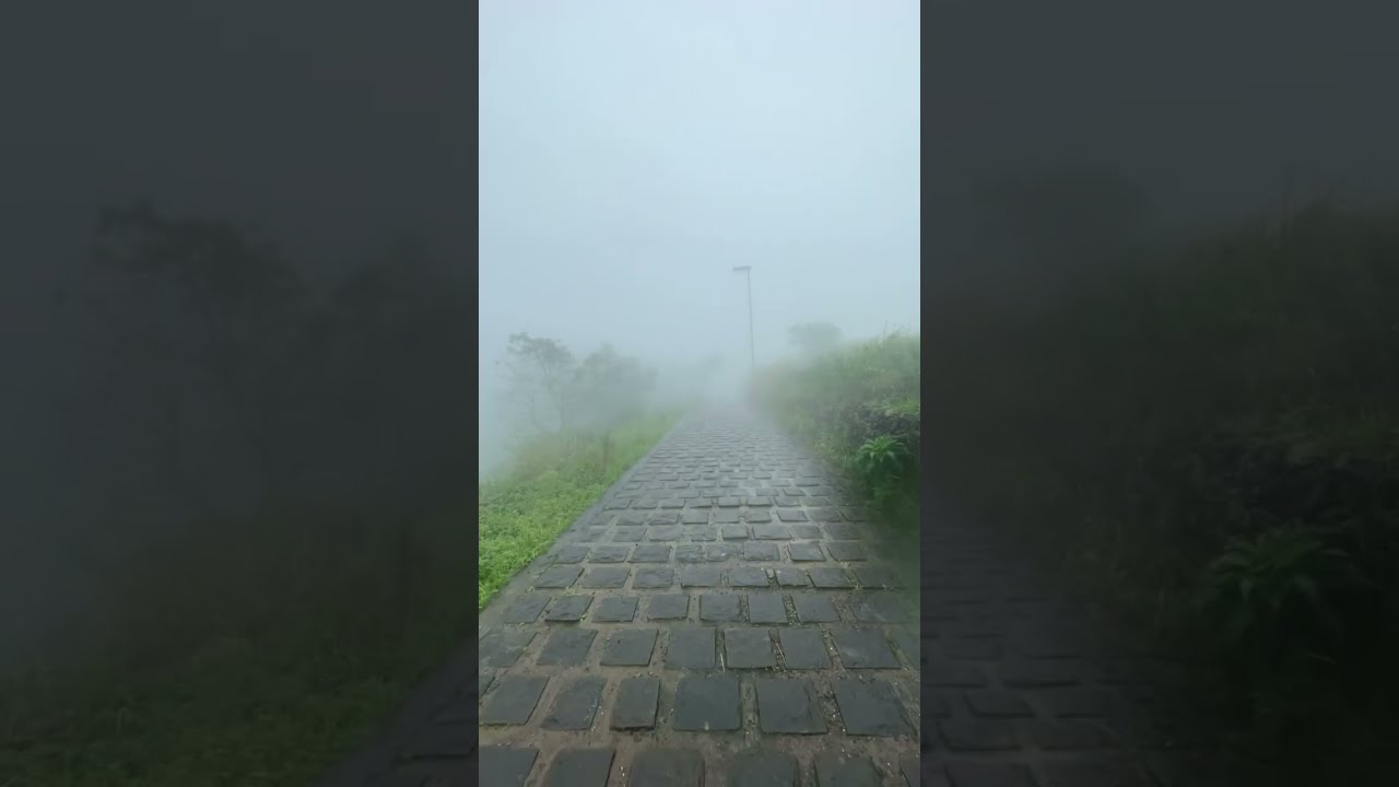 rock pathway #pachalimeedu #idukki #kerala #rain #heavyrain #fog #hunted #hunt #trending #tamil