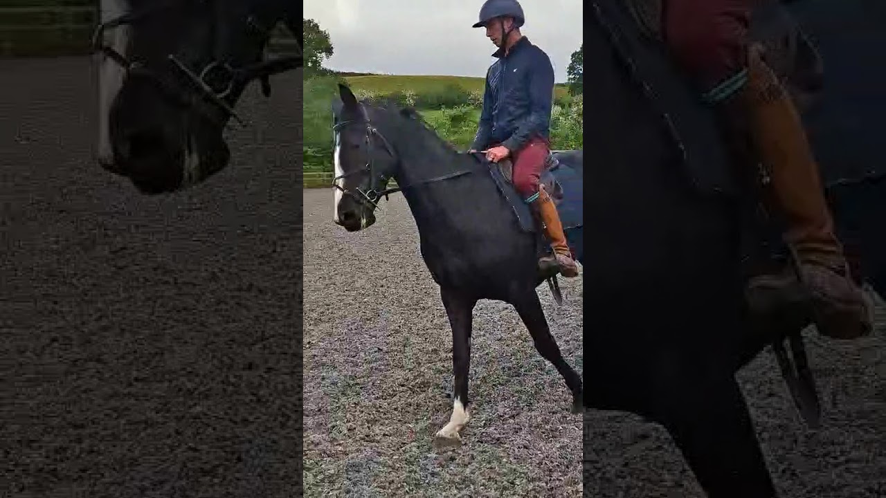Advert reference - 409501