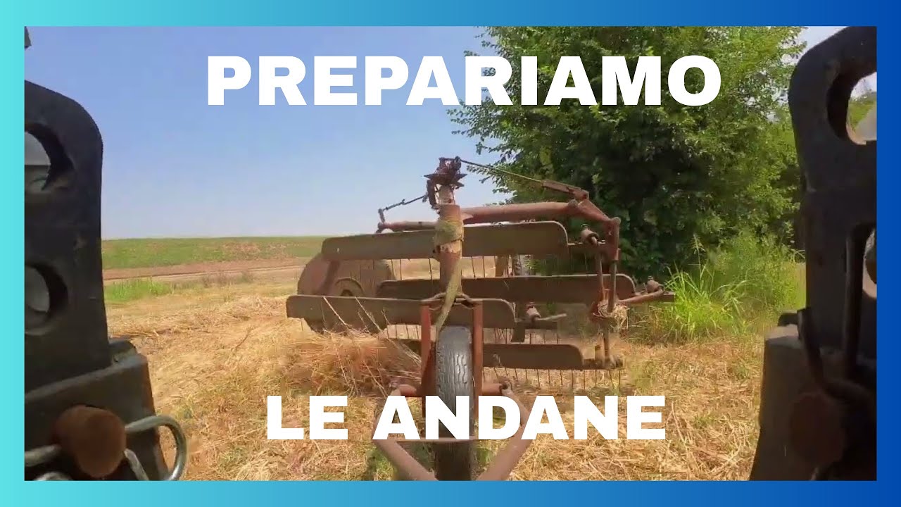RANGHINATURA -- HO FATTO le ANDANE di FIENO