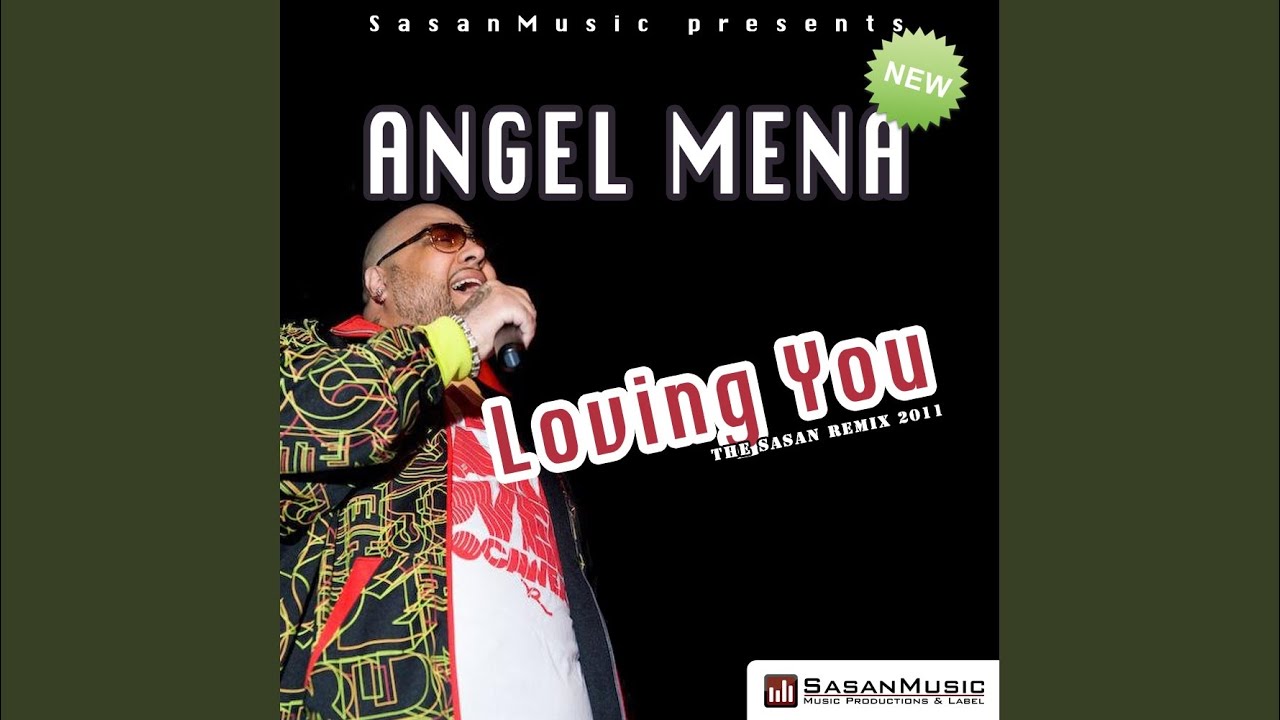 Loving You (Sasan Remix 2011)
