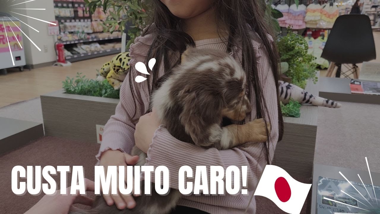 FINALMENTE FLORESCEU | RESUMO DA SEMANA