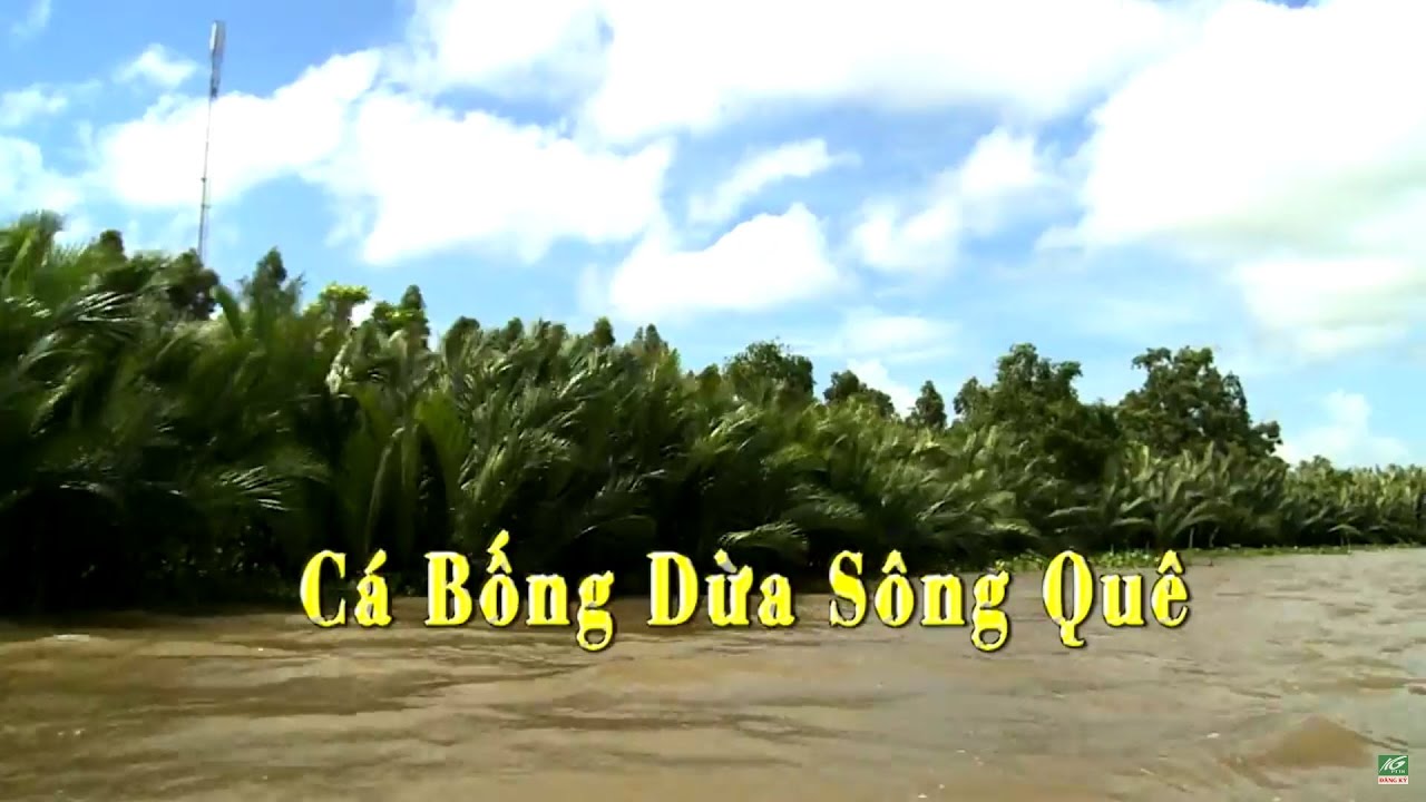Ký ức miền quê | Cá bống dừa sông quê | THKG