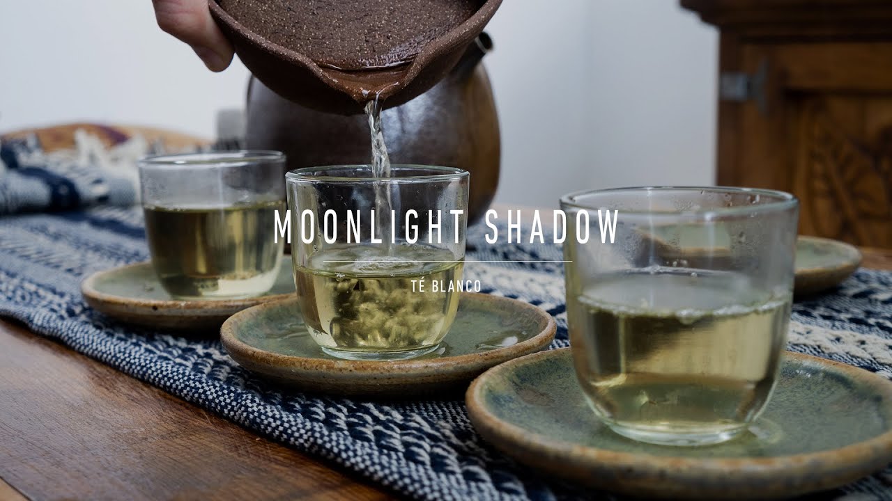 Preparación de Té Blanco
