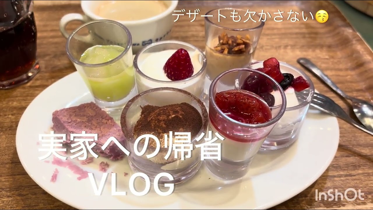 【実家へ帰省VLOG】