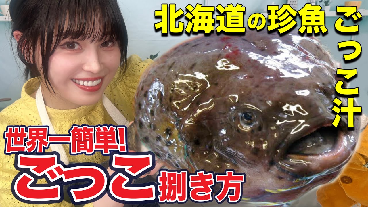 ごっこ【ホテイウオ】ハサミで捌く!世界一簡単な捌き方 ごっこ汁 Smooth lumpsucker