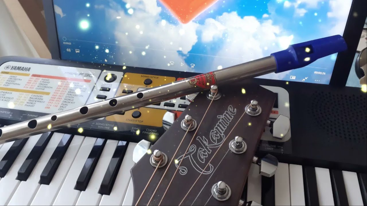 Je t'aime.... moi non plus (Whistle, Keyboard, Guitar)
