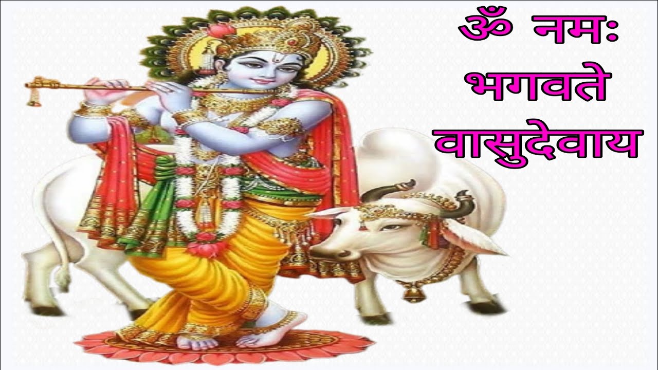 ॐ नमः भगवते वासुदेवाय हिन्दी भजन गीत om namah bhagabate basudevaya hindi bhajan song 