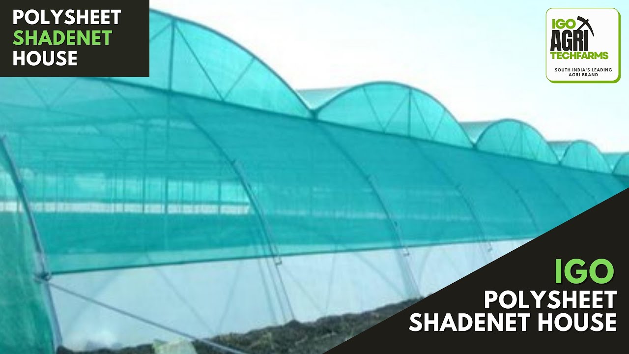 Polysheet Shadenet House for Gardening and Hydroponics |  Hi-tech Farming | IGO Agri Techfarms