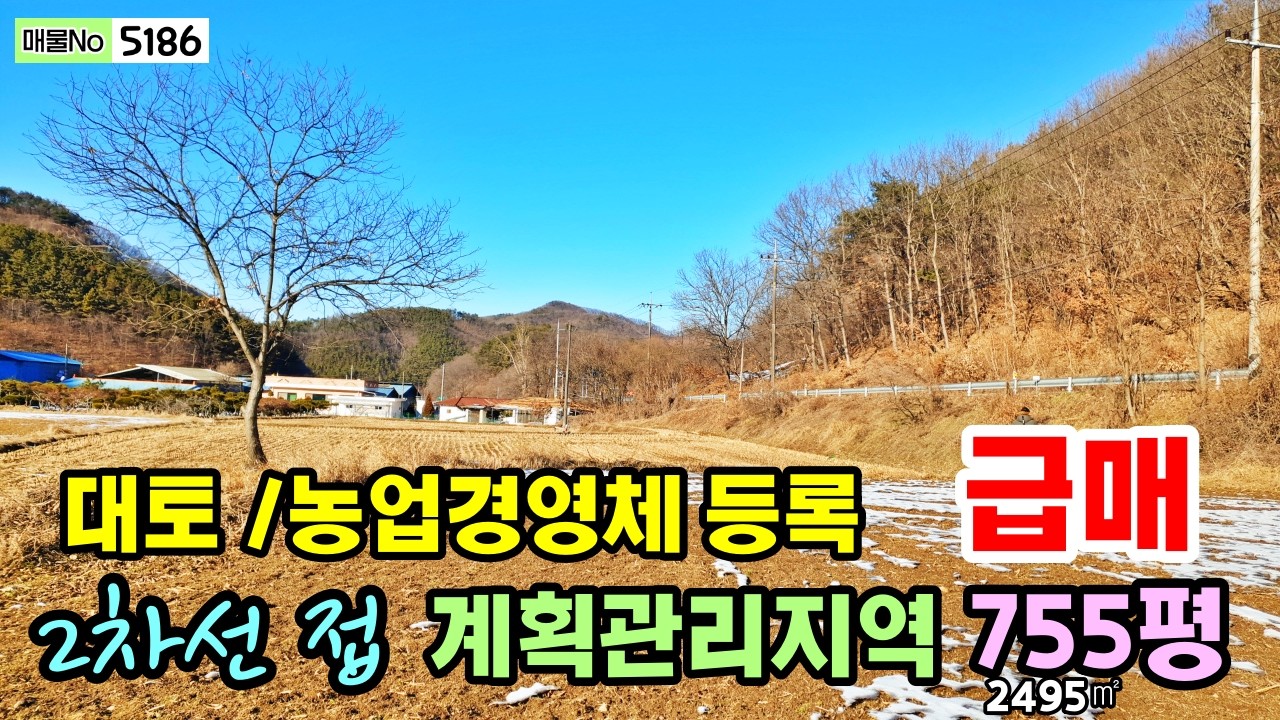 [매물5186] #공주부동산 2차선 도로 접 계획관리지역 대토 농업경영체 등록 r탄천면 토지매매~행운집땅부동산tv 농가주택매매 전원주택매매 시골집 땅 매매 급매