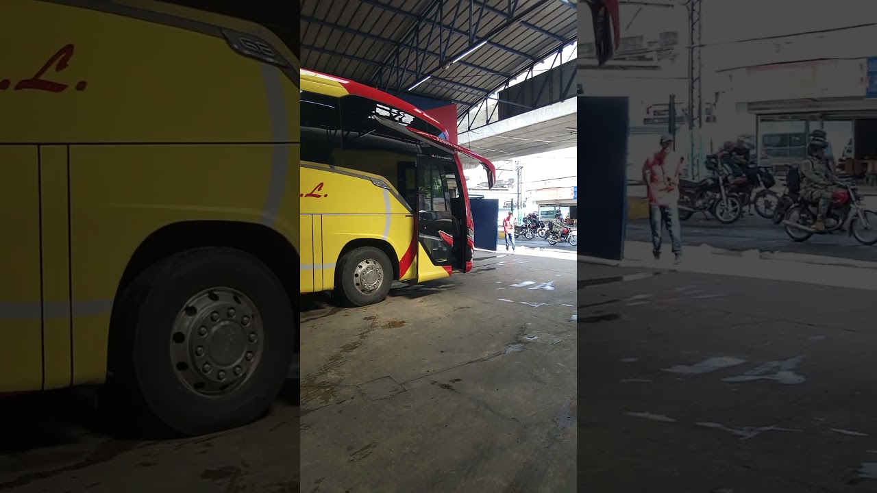 #republicadominicana #autobuses #busologos #fypage