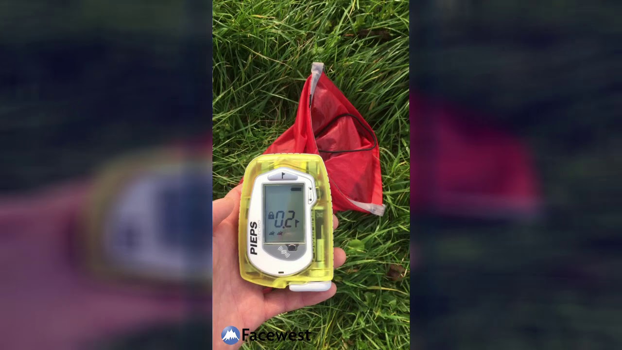 Pieps Micro Search Demo