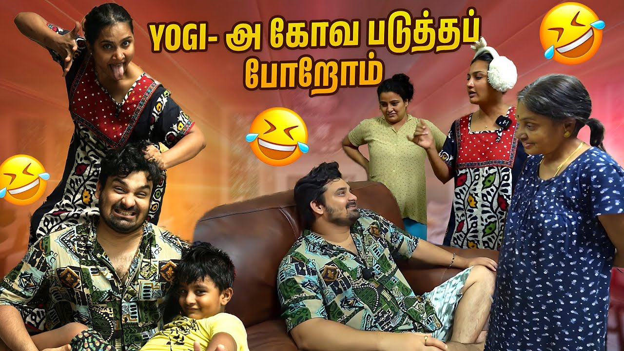 Yogi is Back😍 | திரும்ப வந்துட்டேன்னு சொல்லு🥳💥 | Myna Wings