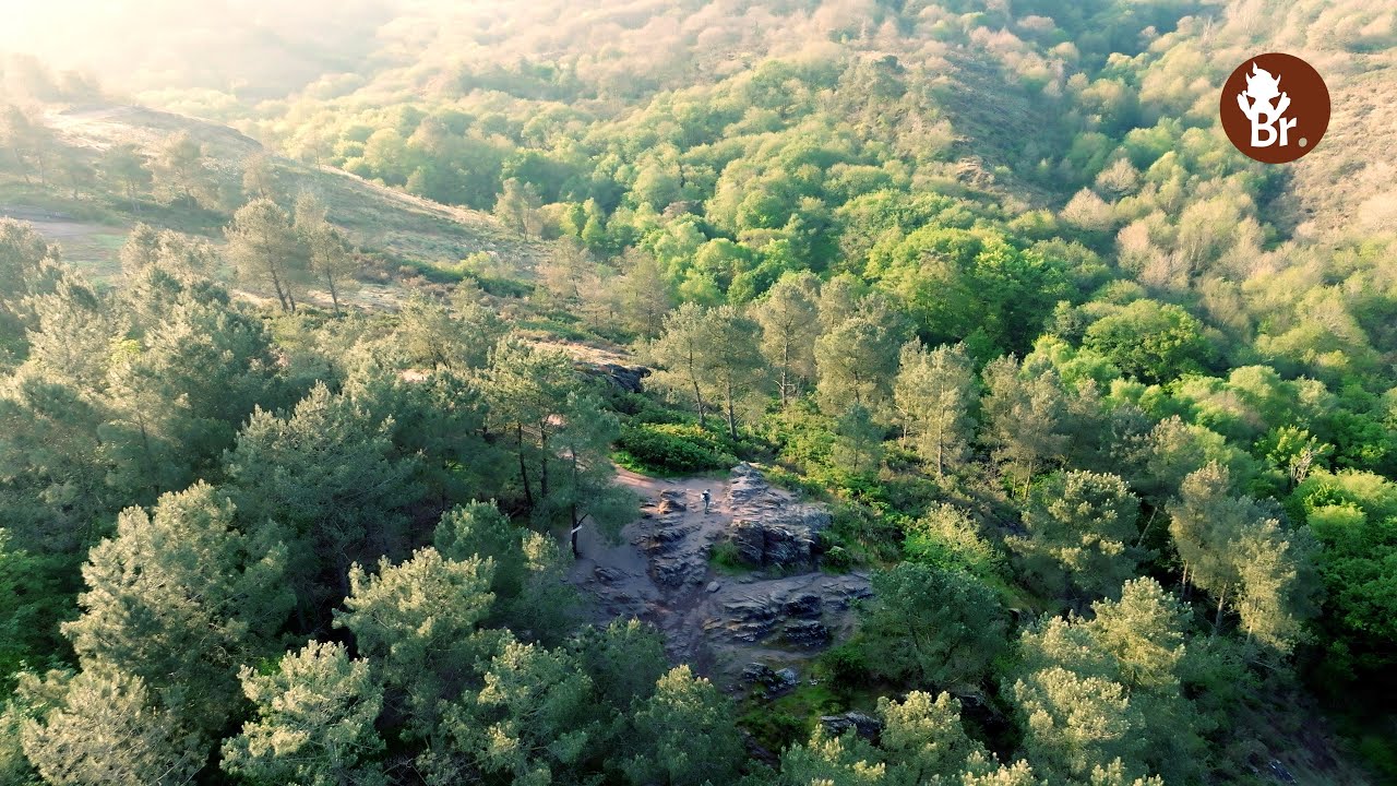 Balade du Val sans Retour et de l’Arbre d’Or en Brocéliande