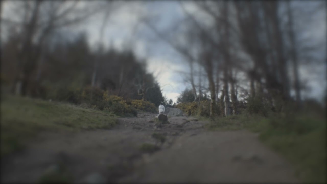 Cormac Looby - Lucid Dream (Lyric Visualiser)