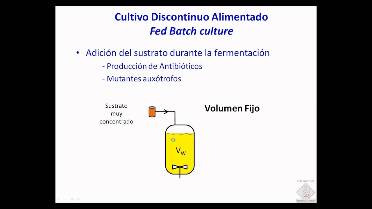 umh1399 Lec002-5 Otros sistemas de crecimiento microbiano