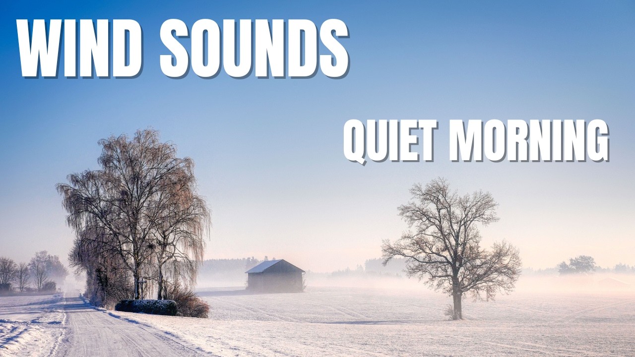 1 Hour Calm Winter Morning Fog in 4K 🌫️ Soft Wind Sounds for Sleep