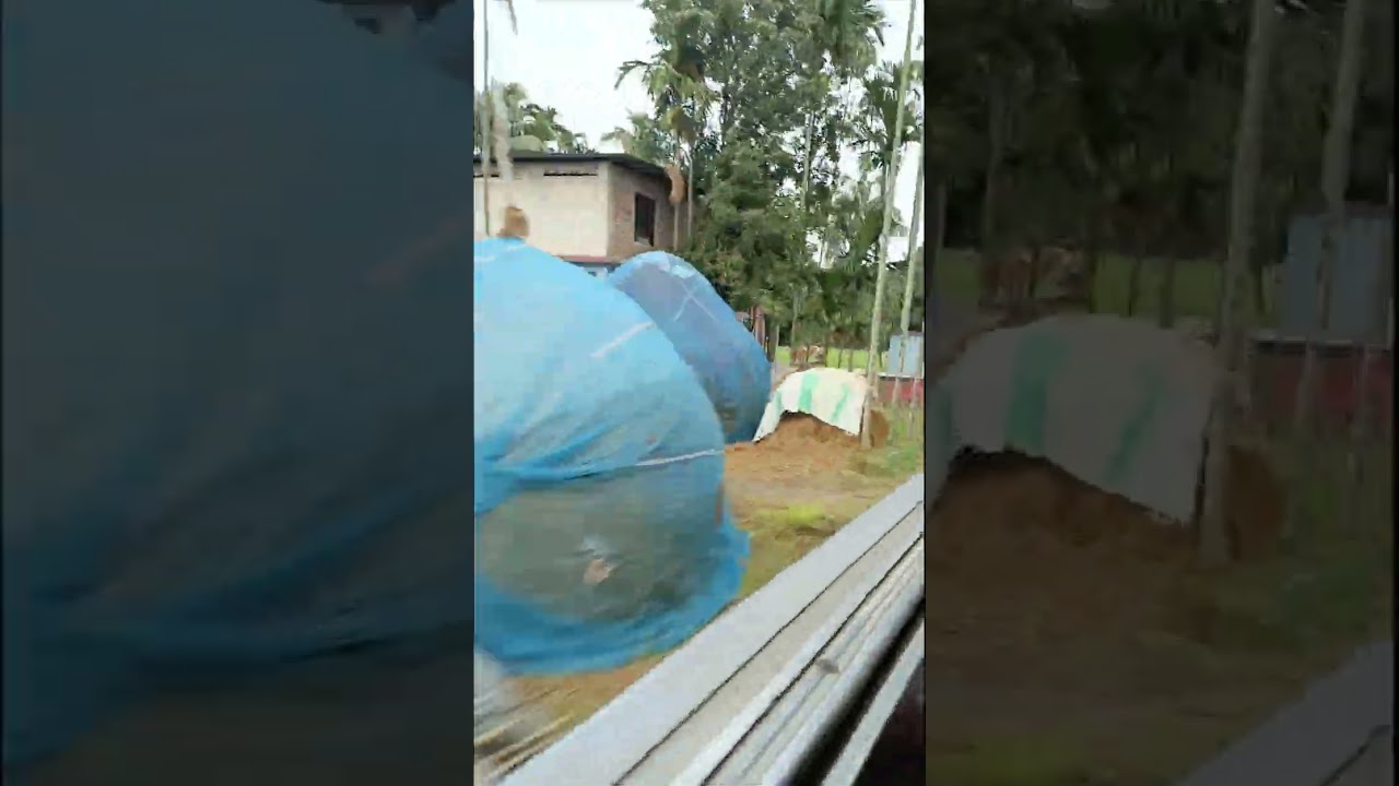 ট্রেন ভ্রমণের বাইরের প্রাকৃতিক সৌন্দর্য 