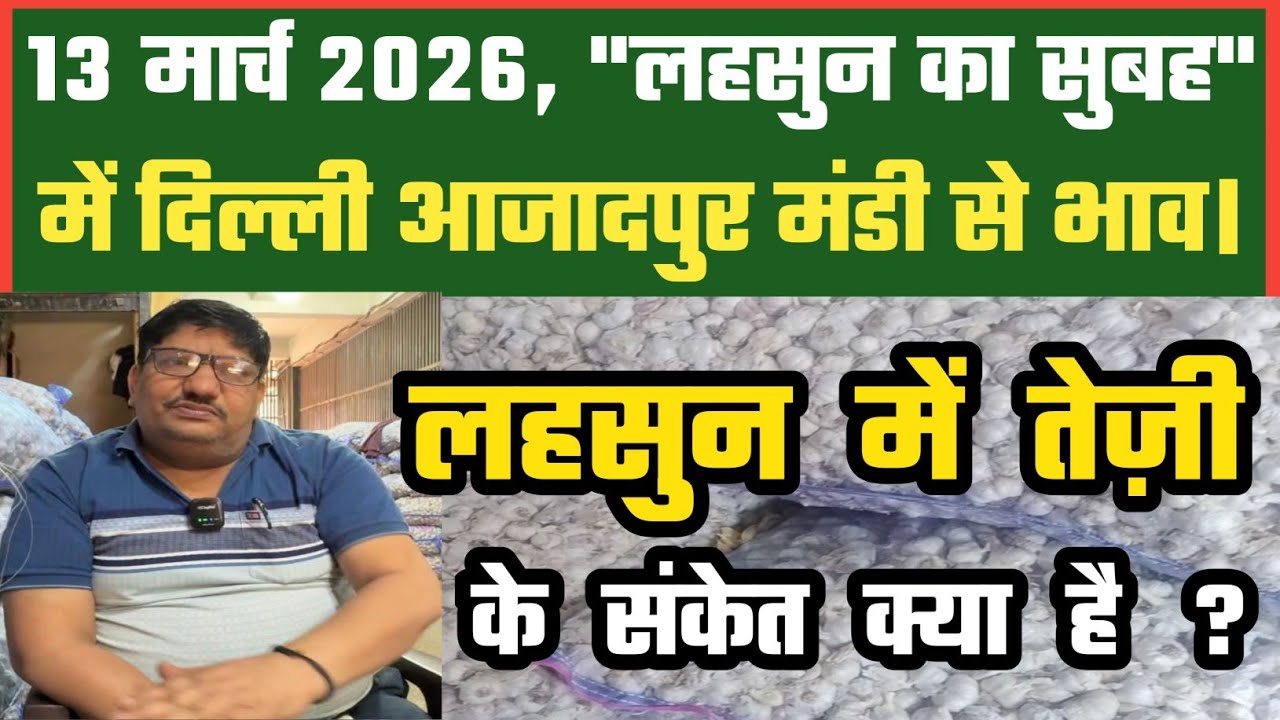 लहसुन के बाज़ार कि चमक कैसी ? Azadpur Delhi Mandi Today 13-03-2026 को बने ऐसे Garlic Price DMT TV