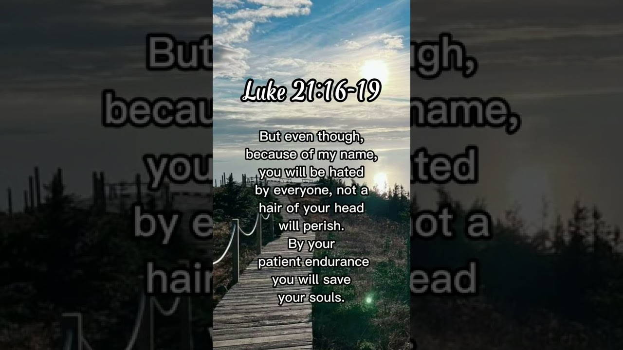 Luke 21:16-19 By your patient endurance you will save your souls.