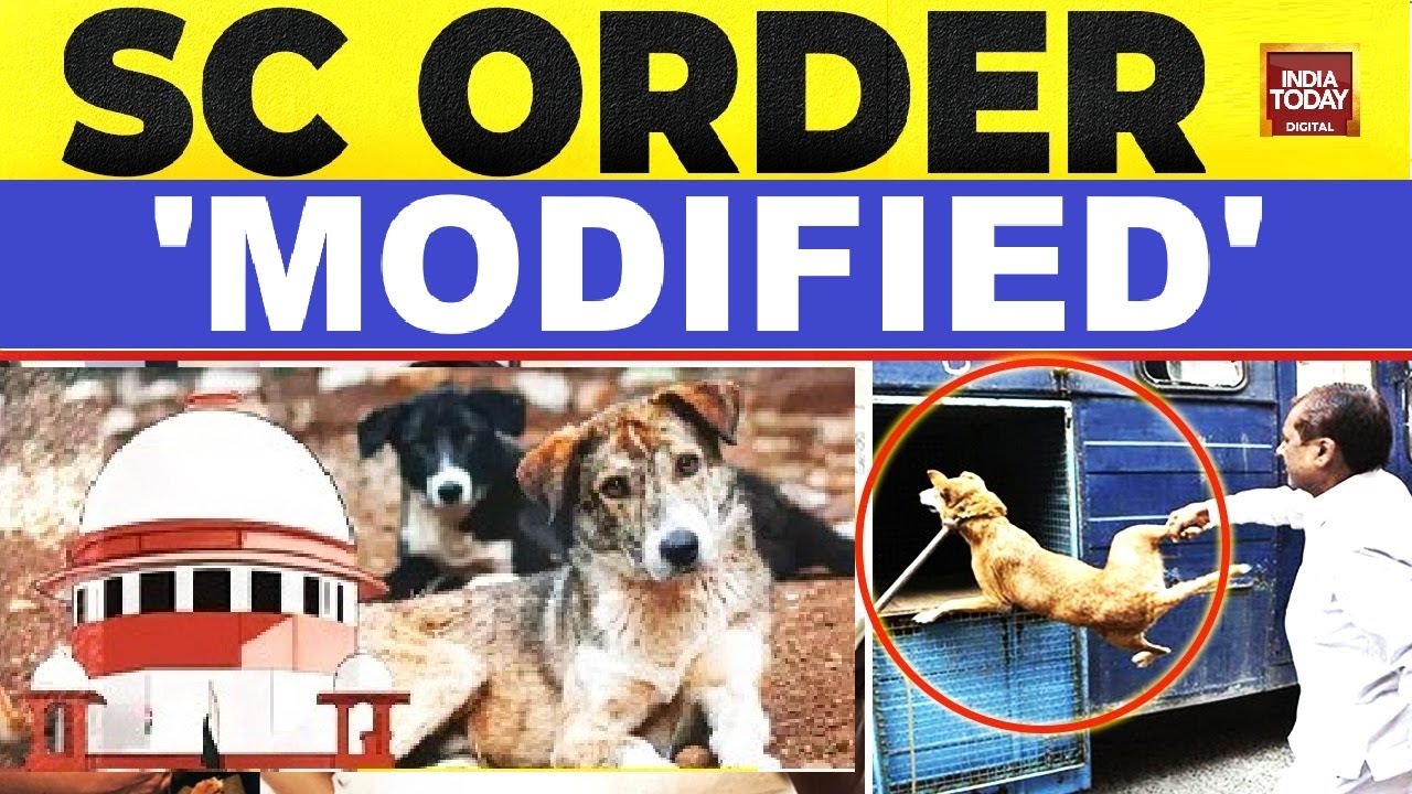 Why Supreme Court Modified Stray Dog Capture Order? | Delhi NCR | PETA | India Today