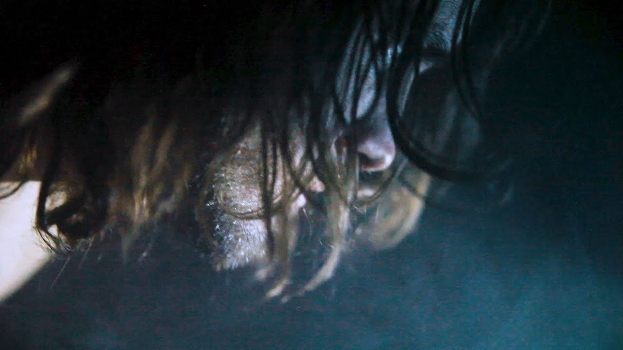 Pianos Become The Teeth - 