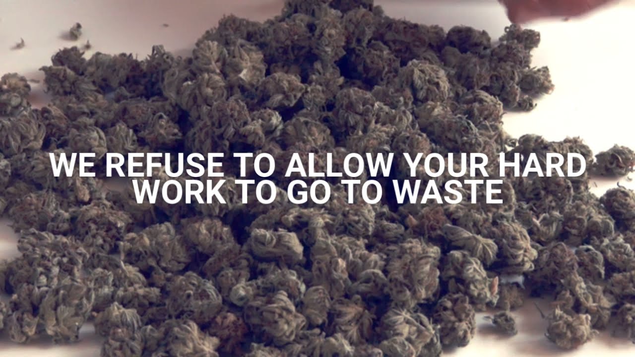 SAVE THE TERPENES