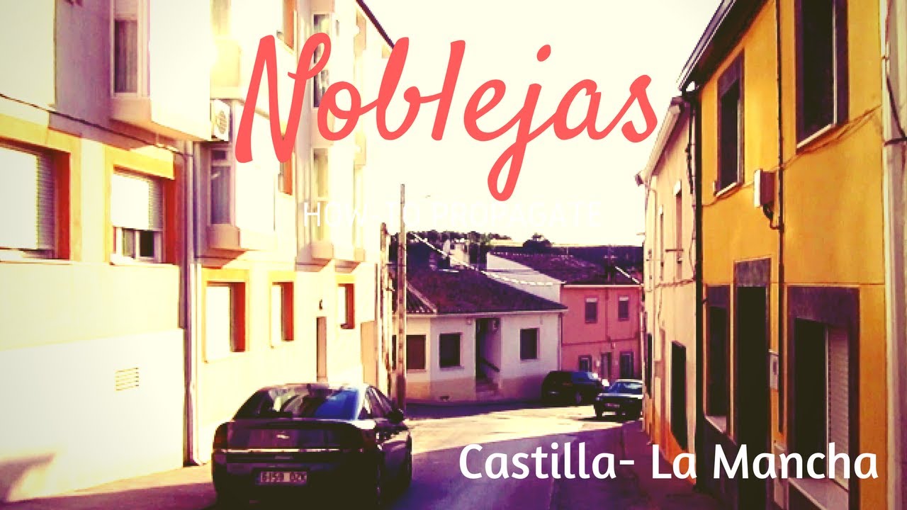 #Noblejas, Toledo. Atravezamos este hermoso pueblo de Castilla-La mancha. Espa&ntilde;a (Spain). Roadtrip.