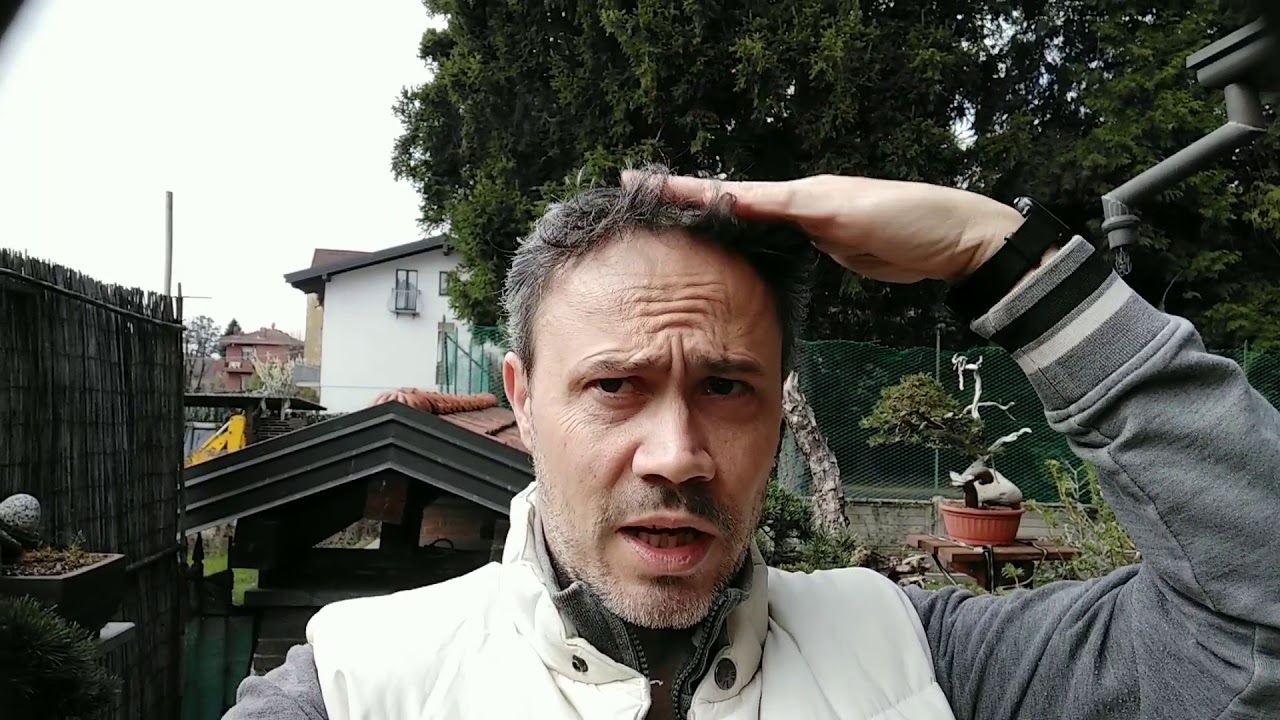 Creiamo un bonsai utilizzando gli innesti