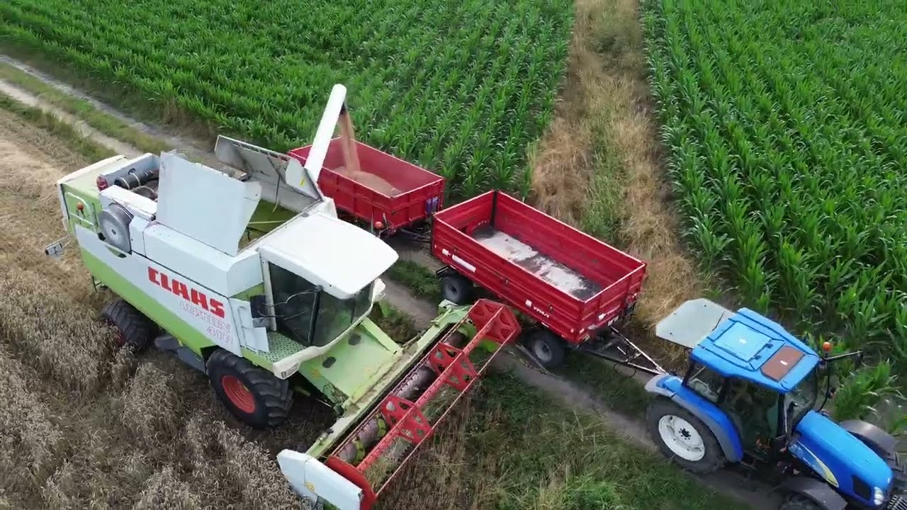 🔥Żniwa Pszenicy 2025 nowy nabytek Claas Lexion 410  GR Malepszy🔥