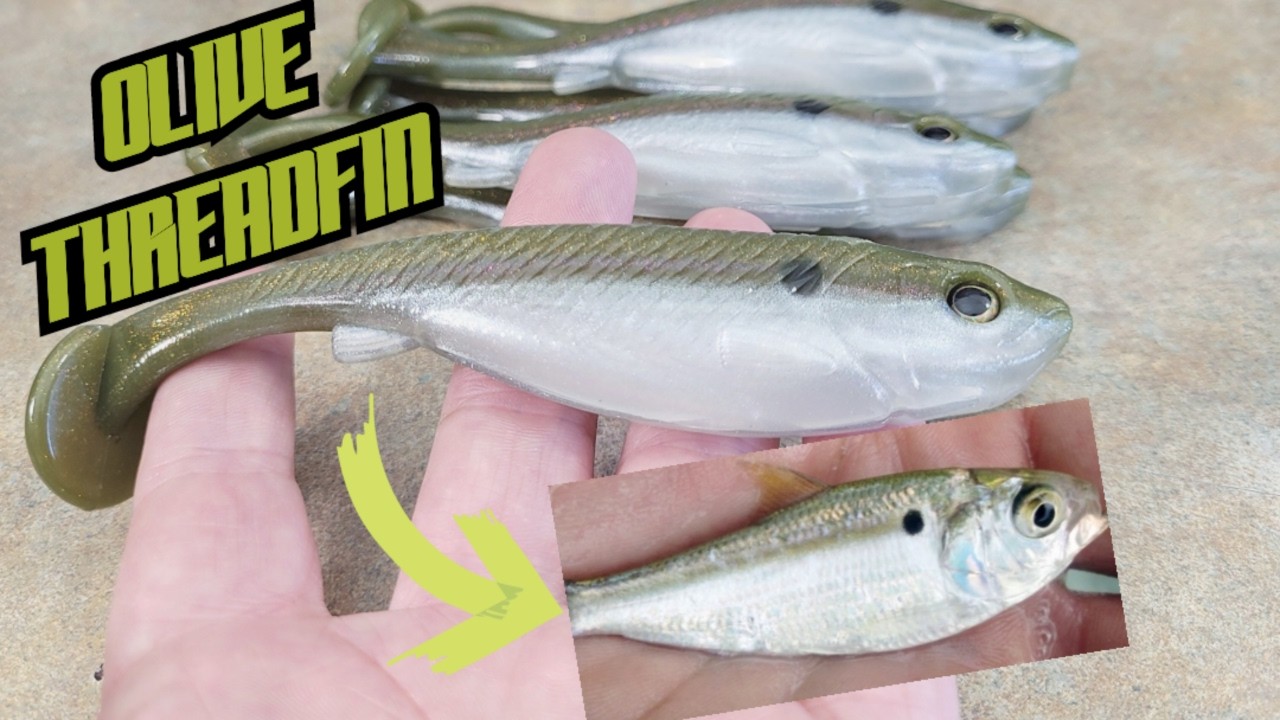 Olive Threadfin Shad Color-Matching Masterclass: Achieving True Soft Plastic Realism