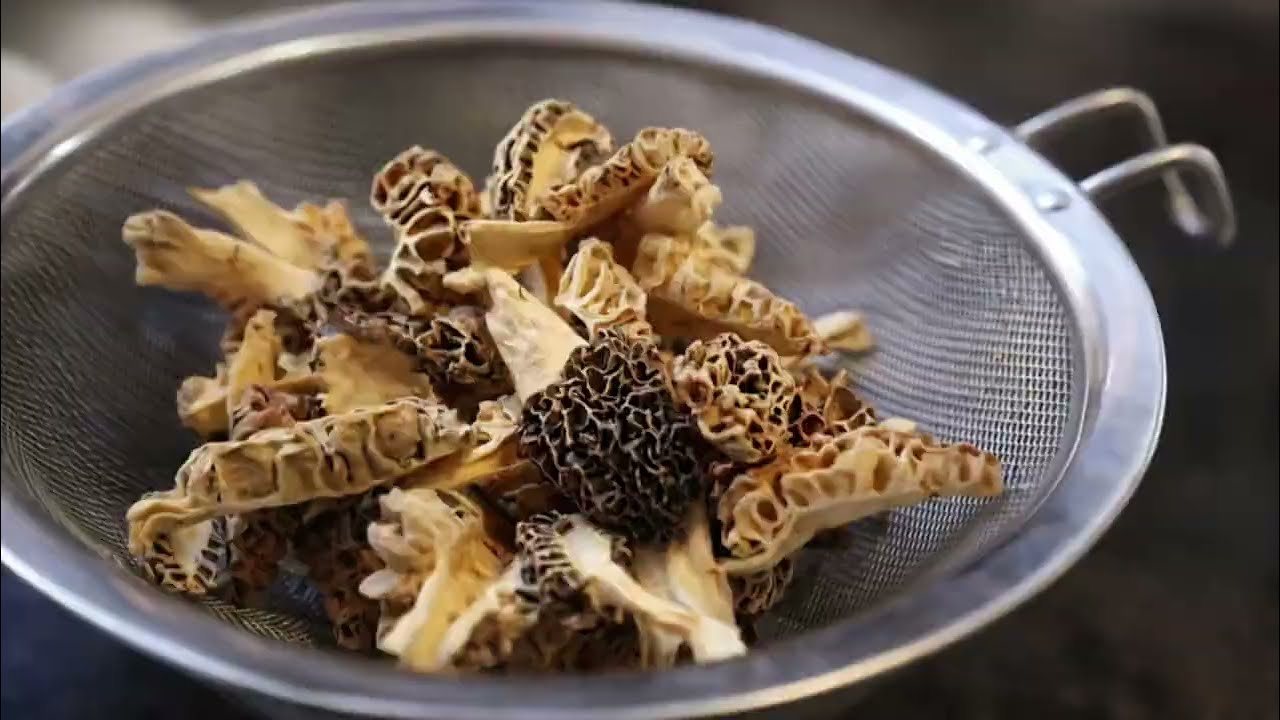 From the Garden, Woods and Farm to the Table